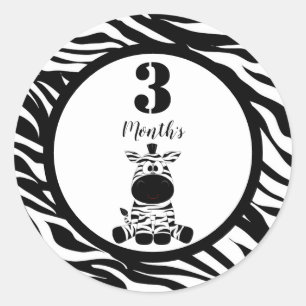 Baby Month Stickers