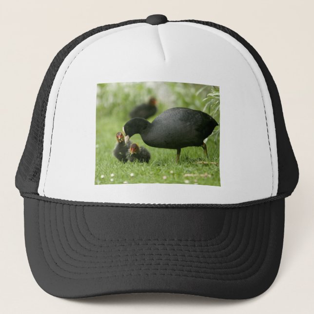 Baby Moorhens Trucker Hat (Front)