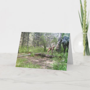 Baby moose birthday card