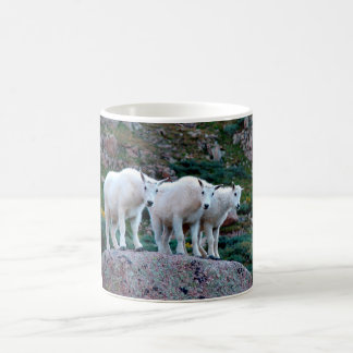 Baby Mountain Goat Mug