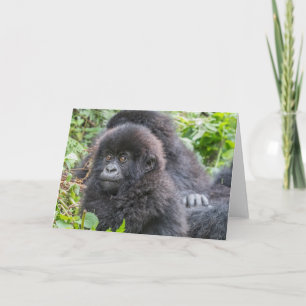 Baby Mountain Gorilla Card