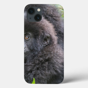 Baby Mountain Gorilla iPhone 13 Case