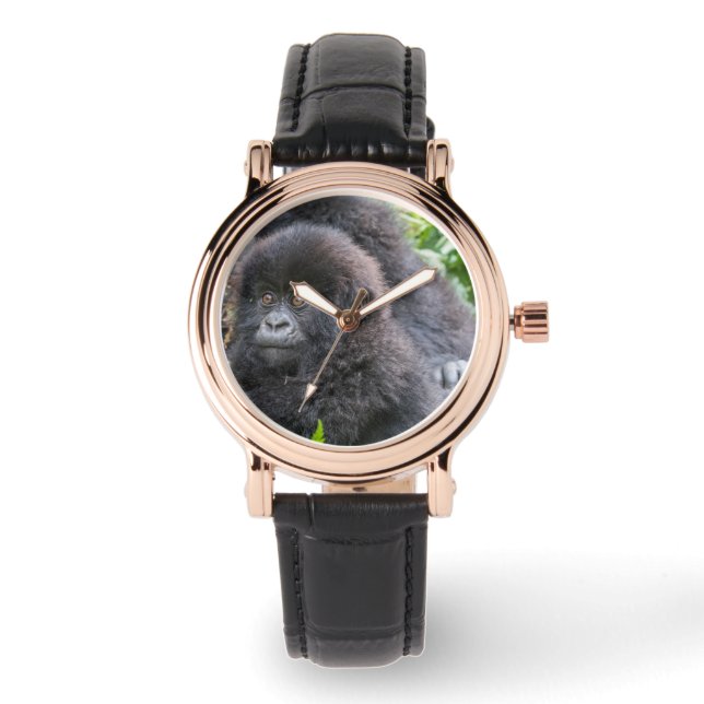 Baby Mountain Gorilla Watch (Front)