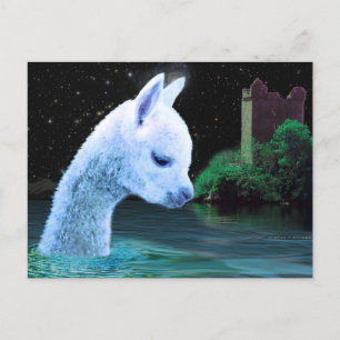 Baby Nessie Postcard