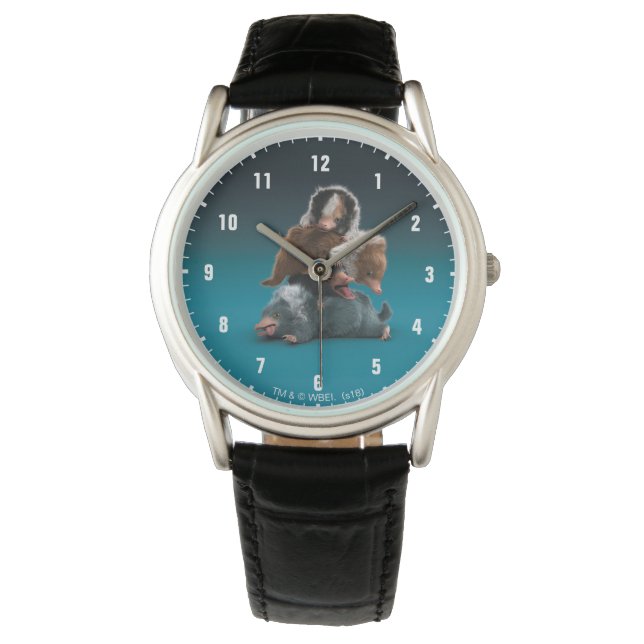 Baby NIFFLER™ Pile Watch (Front)