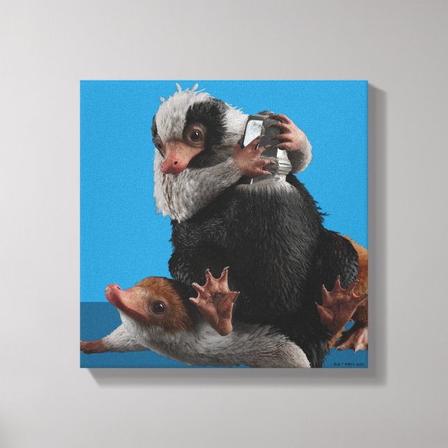 Baby Nifflers Find A Prize Canvas Print (Front)