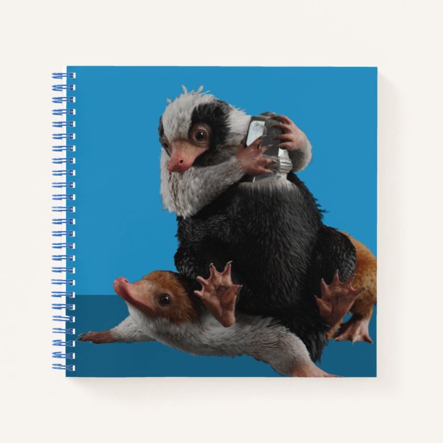 Baby Nifflers Find A Prize Notebook (Front)