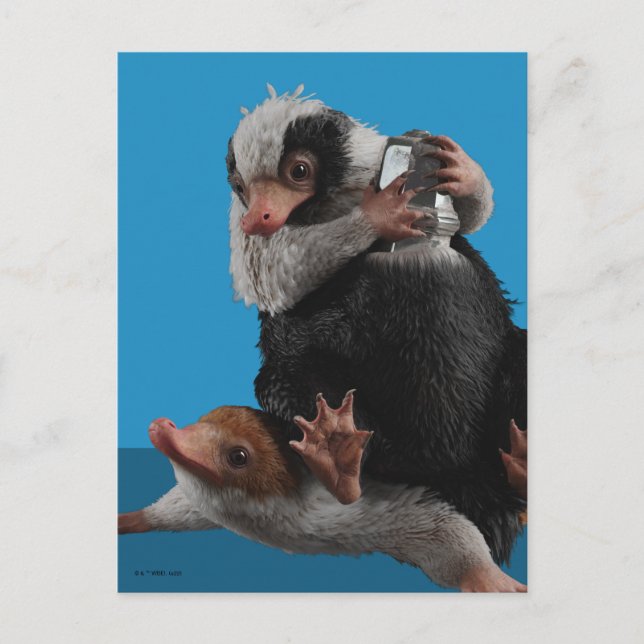 Baby Nifflers Find A Prize Postcard (Front)