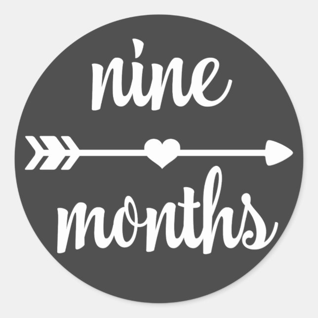 Baby Nine Months Milestone Stickers (Front)