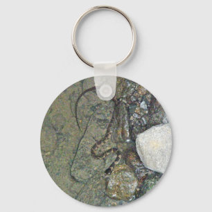 Baby Northern Water Snake (Nerodia sipedon) Items Keychain