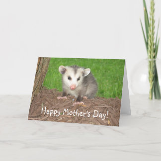 Baby Opossum Mother's day Card