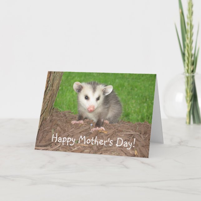 Baby Opossum Mother's day Card (Front)