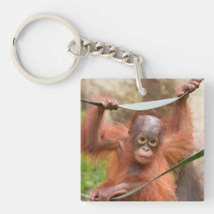 Baby Orangutan Connection Keychain