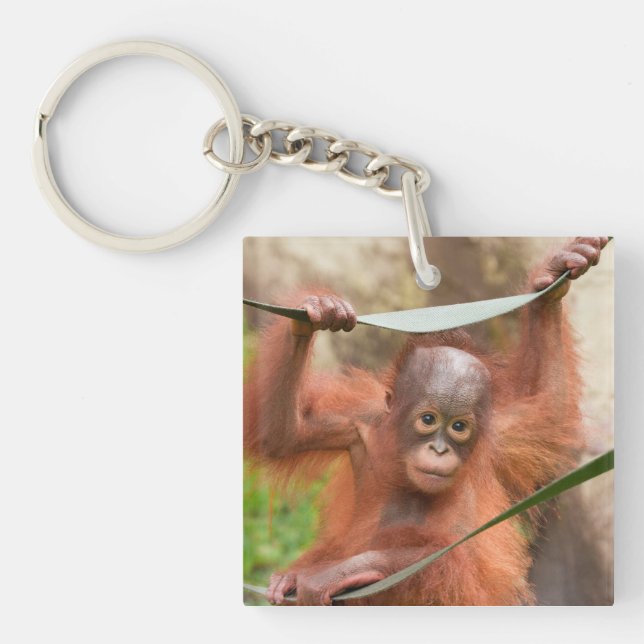 Baby Orangutan Connection Keychain (Front)