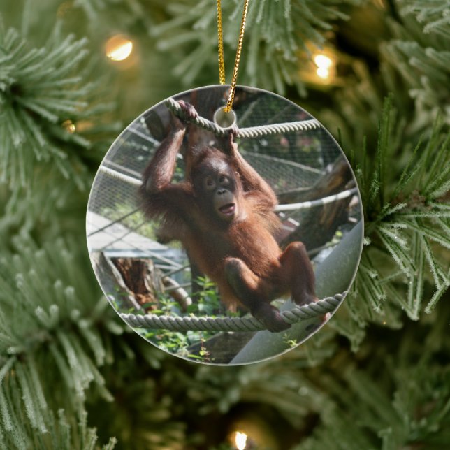 Baby Orangutan - Hang in there Ceramic Ornament (Tree)