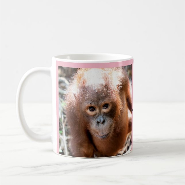 Baby Orangutan Orphan Kobe with OFI Coffee Mug (Left)