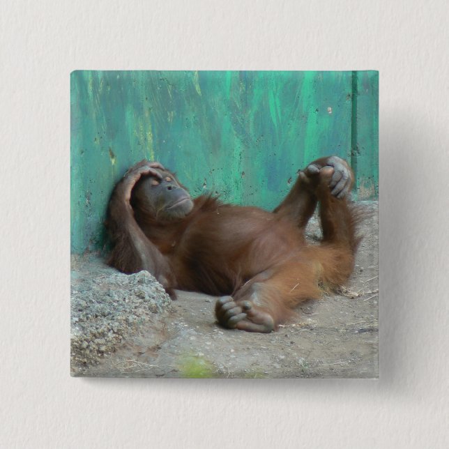 Baby orangutang resting 2 inch square button (Front)