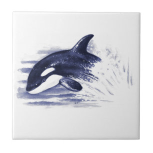 Baby Orca Jump Tile