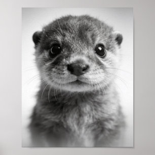 Baby Otter Portrait Sweet Nursery Wall Art