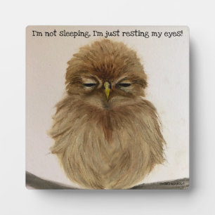 Baby Owl Sleeping Plaque Easel
