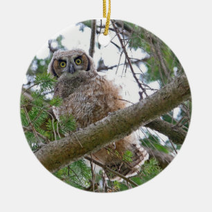 Baby Owl Staring Ceramic Ornament