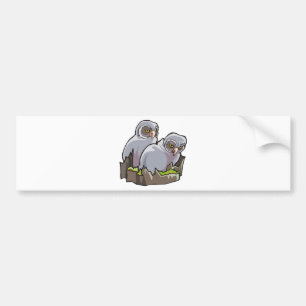 Baby Owls Bumper Sticker