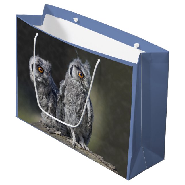 Baby Owls Gift Bag (Front Angled)