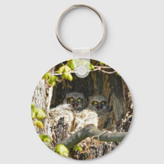 Baby Owls Keychain