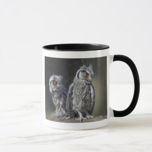 Baby Owls Mug
