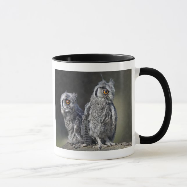 Baby Owls Mug (Right)