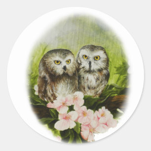 Baby Owls painting on customizable products Classic Round Sticker