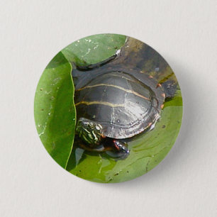 Baby Painted Turtle on Lilypad Items 2 Inch Round Button