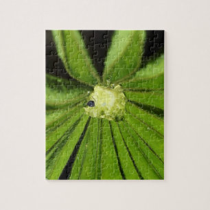 Baby Palm Plant by Shirley Taylor Jigsaw Puzzle