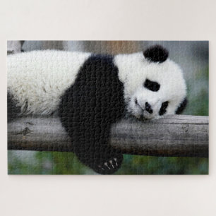Baby Panda dormant sur un arbre, Jigsaw Puzzle