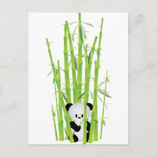 Baby Panda in Bamboo Forest Postcard