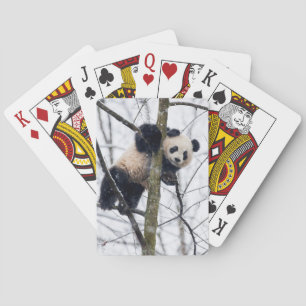 Baby Panda in Tree Playing Cards