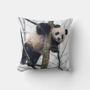 Baby Panda in Tree Throw Pillow