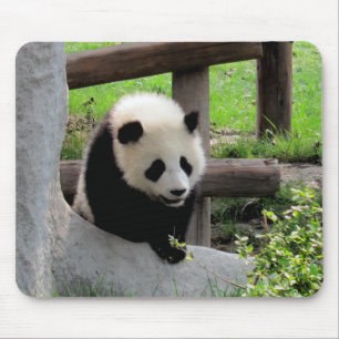 Baby Panda Mouse Pad