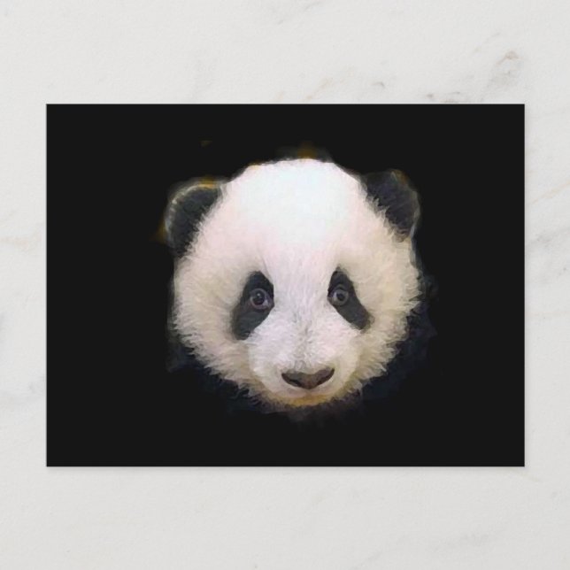 Baby Panda Postcard (Front)