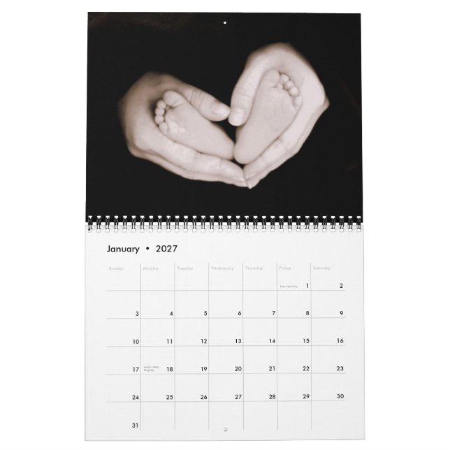 Baby Payne Calendar (Jan 2027)