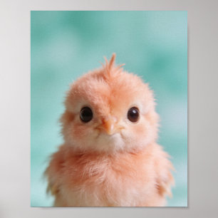 Baby Peacock Portrait Nursery Wall Art