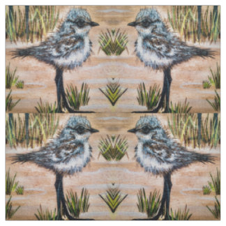 Baby Peep Twins Fabric