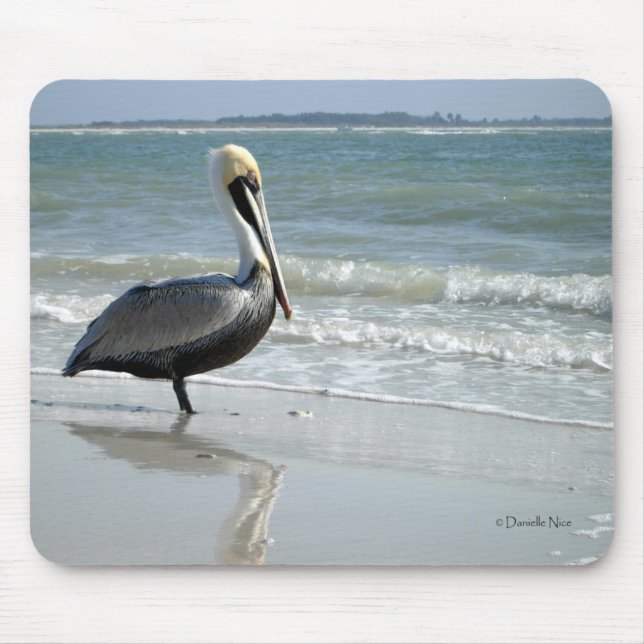 Baby Pelican Mousepad (Front)