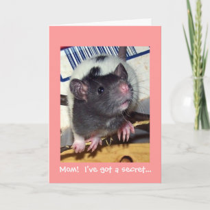 Baby Pet Rat Mother's Day Card