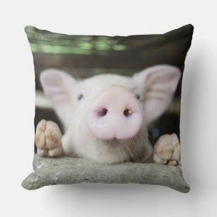 Baby Pig in Pen, Piglet Throw Pillow