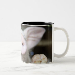 Baby Pig in Pen, Piglet Two-Tone Coffee Mug