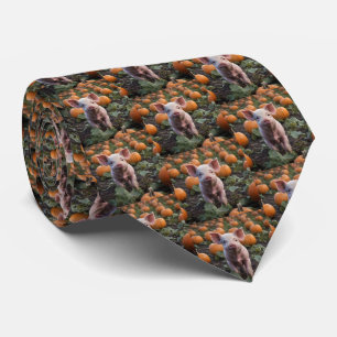 Baby Pig In The Pumpkin Patch,  Tie