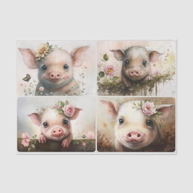Baby Piglets Tissue Paper (Front)