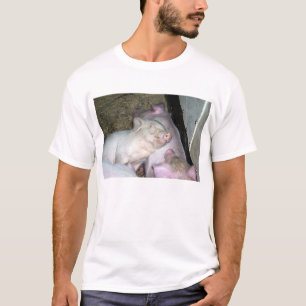 Baby pigs  T-Shirt