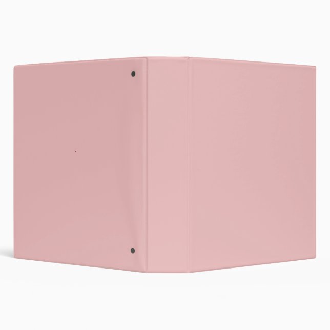 Baby Pink Binder (Background)